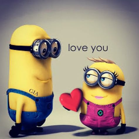 minions | Steffi Krug | Flickr Minion Love Quotes, Quotes Valentines Day, Minions Images, Minions Fans, Minion Characters, Minions Humor, Minion Pictures, Minion Jokes, Minions Love