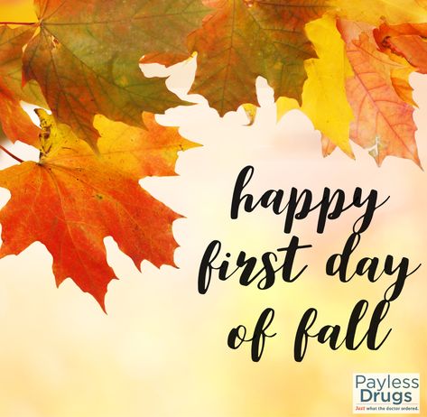 Happy First Day of Fall!!! Happy First Day Of Fall, First Day Of Fall, First Day, One Day, Holidays