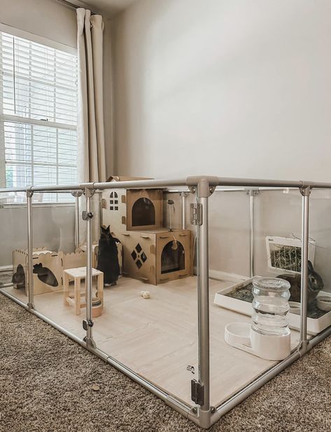 Cute Indoor Rabbit Cage Ideas, Cute Bunny Enclosure Ideas, Large Rabbit Cage Indoor, Rabbit Housing Indoor, Best Indoor Bunny Setup, Bunny Playpen Setup, Cute Bunny Cages Indoor, Bunny Proof Room, Boho Bunny Cage