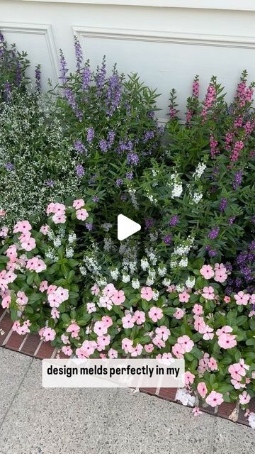 Marble Botanics on Instagram: "Bedding annuals, can bring the long color impact. Not for everywhere but worth the work is some spots in the garden. #annuals #vinca #diamondeuphorbia #angelonia #beddingannuals #flowers #gardening #plantlovers #gardenlovers #colorimpact #gardendesign #ncgardening #raleighgardening" Vinca Flowers In Containers, Vinca Flowers Front Yards, Angelonia Flower, Vinca Flowers, Garden Annuals, Flowers Gardening, Container Flowers, Garden Lovers, Flower Beds