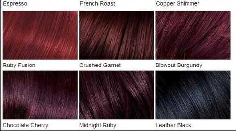 Love these colors Dark Cherry Hair Color, Chocolate Cherry Hair Color, Dark Cherry Hair, Black Cherry Hair Color, Black Cherry Hair, Cherry Hair Colors, Wine Hair Color, Hair Color Plum, Plum Hair