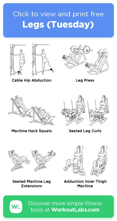 Legs (Tuesday) · WorkoutLabs Fit Legs Machine Workout Gym, Leg Workout Gym Machines Work Outs, Leg Workout Gym Machines, Lower Body Workout Gym Machines, Gym Machine Leg Workout, Leg Day Workout At The Gym Machines, Gym Leg Workout For Women, Leg Day Stretches, Leg Workout Machine