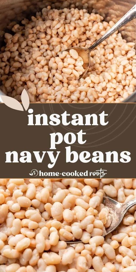 Instant Pot Navy Beans Recipe How To Cook Navy Beans In Instant Pot, Pressure Cooker Navy Beans, Dried Navy Beans Instant Pot, Instant Pot Navy Beans No Soak, Navy Bean Instant Pot, Pressure Cooker White Beans, Instapot White Beans, Navy Beans In Instant Pot, How To Cook Navy Beans