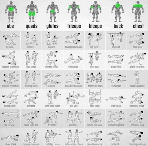 Click to see the pic and write a comment... Exercise Chart, Full Body Workout Plan, Bodyweight Exercises, Calisthenics Workout, Different Exercises, Body Workout Plan, Workout Chart, Motivation Fitness, Bodybuilding Workouts