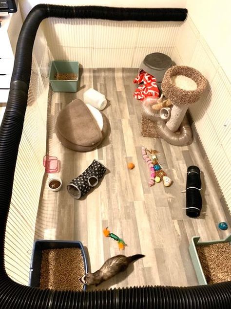 Ferret Playpen - vinyl flooring on the bottom works perfectly for this new rectangular shape Ferret Gate Ideas, Ferret Room Ideas Diy, Ferret Enclosure Indoor, Free Roam Ferret Setup, Diy Ferret Playpen, Diy Ferret Cage Homemade, Ferret Room Play Areas, Ferret Enclosure Ideas, Ferret Cage Ideas Diy