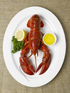 How to Heat Frozen Whole Lobster  - got a good deal but didn't know what to do with them! lol Cooking Frozen Lobster Tails, Cooked Lobster, Frozen Lobster Tails, Seafood Sushi, Frozen Lobster, Grilling Guide, Lobster Dishes, Lobster Recipes Tail, Lobster Dinner