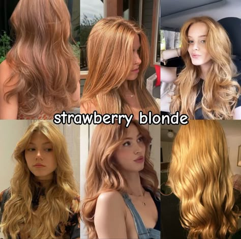 Strawberry Blonde Pfp, Blonde Strawberry Hair, Olive Skin Blonde Hair, Blonde Henna, Making Manga, Blonde Hair Dark Eyes, Strawberry Red Hair, Hair Captions, Red Balayage Hair