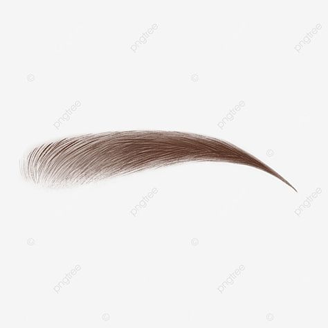 Eye Brows Drawing, Eyebrow Png, Cartoon Eyebrows, Imvu Face, Brown Png, Brown Eyebrow, Brown Eyebrows, Grass Background, Face Features