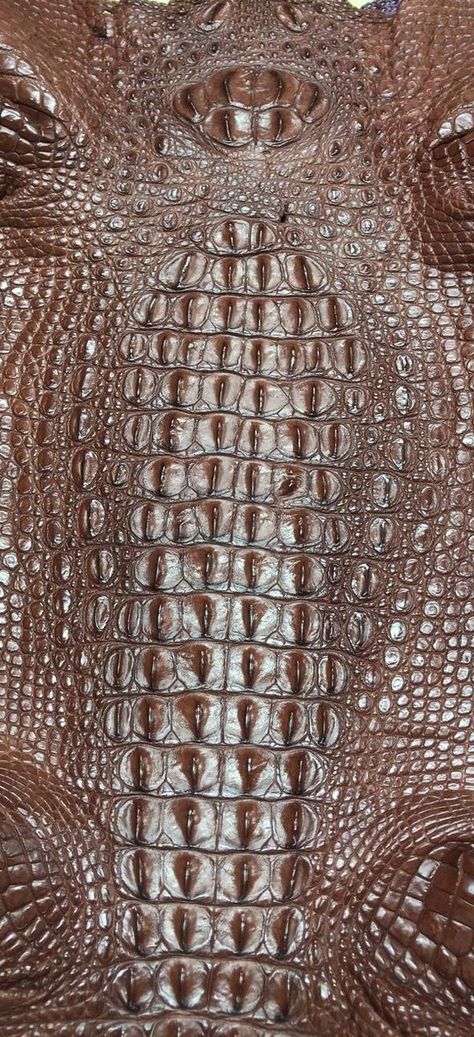 Alligator texture Alligator Skin Rug, Sewer Alligator, Alligator Skin Wallpaper, Alligator Skin Boots, Crocodile Leather Texture, Crocodile Mask, Alligator Costume, Texture References, Odd Fashion