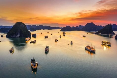 Top 20 địa điểm du lịch Việt Nam HOT nhất Vietnam Halong Bay, Vietnam Cruise, Ta Prohm, China Travel Guide, Vietnam Voyage, Vietnam Travel Guide, Marine Creatures, Vietnam Tours, Ha Long Bay