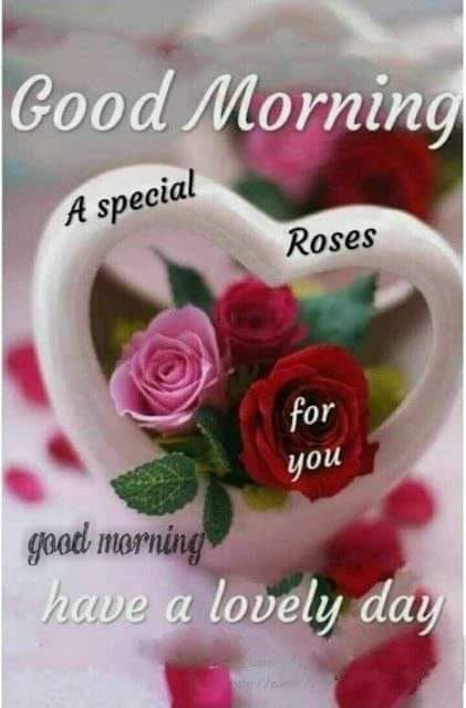 Romantic Good Morning Messages, Good Morning Love Gif, Good Morning Sister, Special Good Morning, Lovely Good Morning Images, Latest Good Morning, Good Morning Beautiful Gif, Good Morning Love Messages, Morning Quote