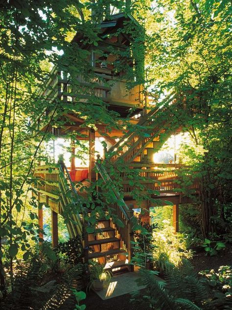 Secret Hideout, Luxury Tree Houses, Hgtv Garden, Quiet Space, Small Entryways, Large Tree, Tree Houses, Deck Photos, Romantic Garden