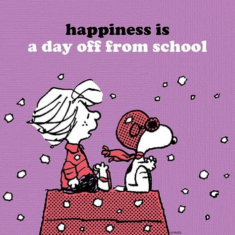 Twitter Snoopy School, Charles Shultz, Charlie Brown Quotes, Teaching Humor, No School, Flying Ace, Peanuts Cartoon, Snoopy Quotes, Snoopy Pictures