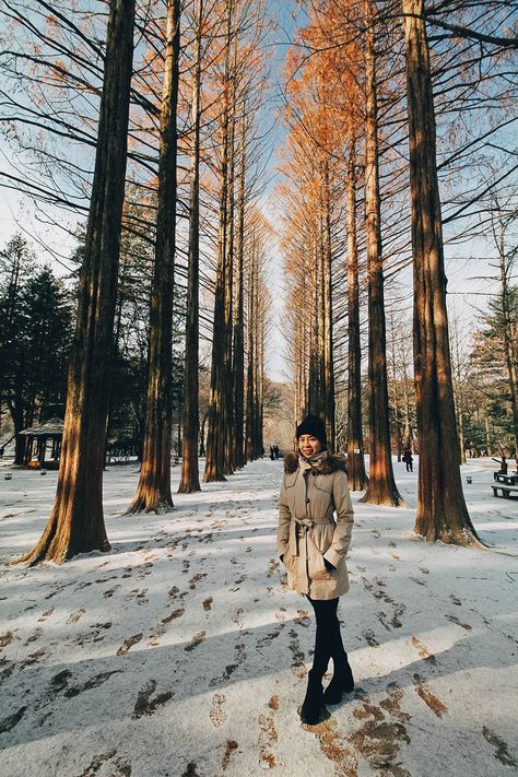 Nami Island Photo Ideas, Nami Island Winter, Island Photo Ideas, Korea Photography, Korea Winter, Nami Island, Winter Photo, Korea Travel, Travel Photo