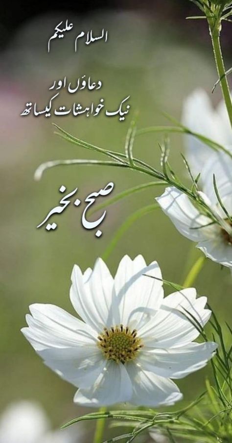 Subah Bakhair Urdu, Numbers In Arabic, Urdu Dua, Hadees In Urdu, Good Morning Prayer Quotes, Subha Bakhair, Morning Dua, Ramzan Mubarak, Arabic Numbers