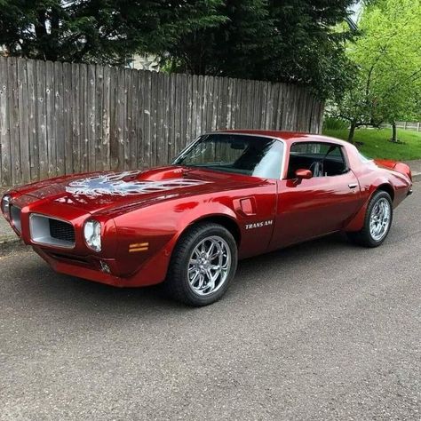 Pontiac Firebird Formula, Firebird Formula, Hot Rods Cars Muscle, Old Muscle Cars, First Cars, Pontiac Trans Am, Pontiac Firebird Trans Am, Pontiac Cars, Chevy Muscle Cars