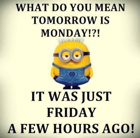 Tomorrow Is Monday!?! tomorrow is monday monday quotes monday Funny Sunday, Quotes Funny Humor, Sunday Humor, Monday Humor Quotes, Sunday Quotes Funny, Tomorrow Is Monday, Friday Quotes Funny, Monday Humor, A Minion