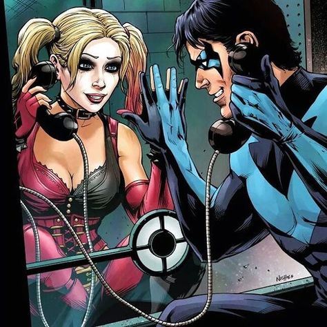 Nightwing And Harley Quinn, Anti Gwenom, Nightwing Art, Lucy Quinn, Dc Ships, Batman Vs Joker, Univers Dc, Batman Dc, Year One