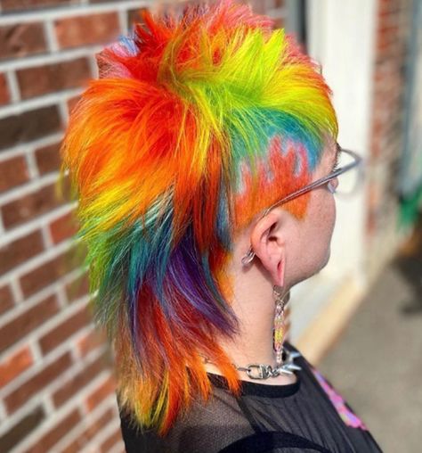 Phoenix Birds Rainbow Hair Color Ideas Vivid Color Mullet, Rainbow Mullet, Rainbow Hair Color Short, Racoon Tail Hair, Rainbow Dyed Hair, Rainbow Hair Color Ideas, Short Rainbow Hair, Phoenix Birds, Pastel Rainbow Hair