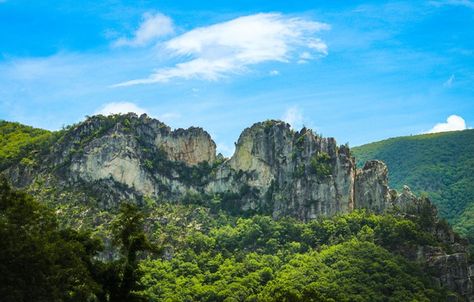 Seneca Rocks Wv, Seneca Rocks, West Virginia Mountains, Virginia Vacation, Centennial Park, Virginia Travel, Scenic Roads, Gorgeous Scenery, Scenic Byway