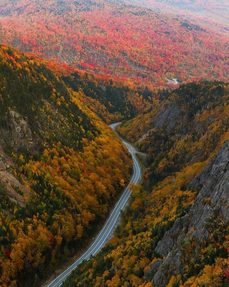 New Hampshire Tourism on Instagram: “Finding peace among the leaves. #DiscoverYourNew PC: @mollybbythesea” New Hampshire Aesthetic, Travel 2024, Unique Photography, October 7, Gods Creation, Photography Techniques, Finding Peace, New Pictures, New Hampshire