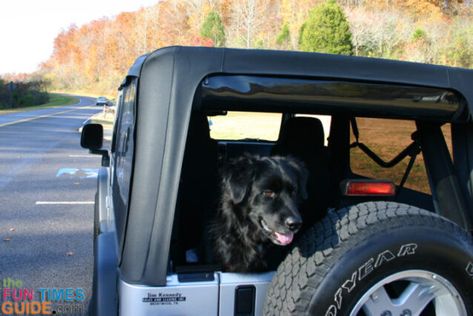 Jeep Wrangler Soft Top, Jeep Wrangler Diy, Jeep Hacks, Diy Jeep, Outdoors Man, Jeep Dogs, Tj Wrangler, Jeep Wrangler Accessories, Jeep Wrangler Unlimited Rubicon