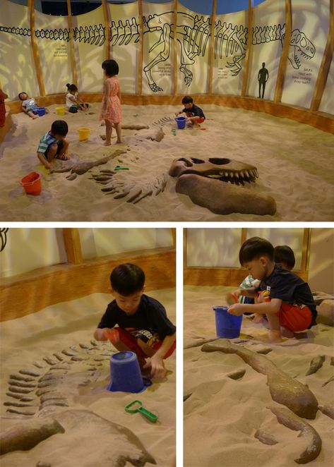 Fête Jurassic Park, Indoor Playground Design, Kids Restaurants, Sand Projects, Indoor Playroom, Science Centre, Daycare Design, Diy Playroom, Kids Cafe