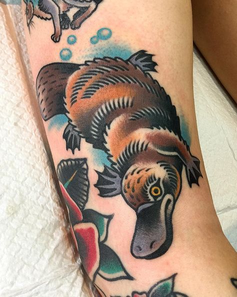 Platypus for Courtney’s animal leg! @thegrandillusiontattoo Platypus Tattoo, Traditional Tattoo Animals, Swag Tattoo, Tortoise Tattoo, Koala Tattoo, Australian Tattoo, Traditional Tattoo Inspiration, Traditional Tattoo Flowers, Vintage Tattoo Design