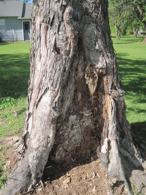 Door Pattern, Diy Fairy Door, Fairy Doors On Trees, Fairy Garden Doors, Fairy Tree Houses, Garden Globes, Fairy Garden Crafts, Fairy Tree, Gnome House