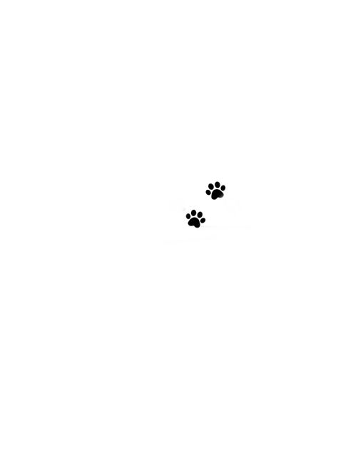 Geometric Paw Print Tattoo, Westie Tattoo Minimalist, Pet Tattoo Ideas, Cat Paw Tattoos, Pet Tattoos, Medium Tattoos, Tiny Tattoos For Women, Evil Eye Tattoo, Ear Tattoo Ideas