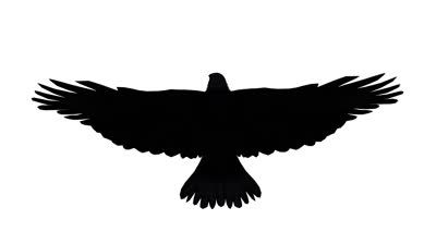 asdf Black Eagle Tattoo, Eagle Feather Tattoos, Small Eagle Tattoo, Sellable Crafts, Crow Tattoo Design, Eagle Silhouette, Black Bird Tattoo, Eagle Vector, Forearm Band Tattoos