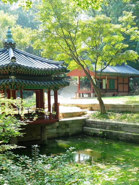 18. changdeokgung-secretgarden Korea Life, Changdeokgung Palace, Joseon Dynasty, Palace Garden, South Korea Travel, Chinese Garden, The Secret Garden, Traditional Garden, Korea Travel