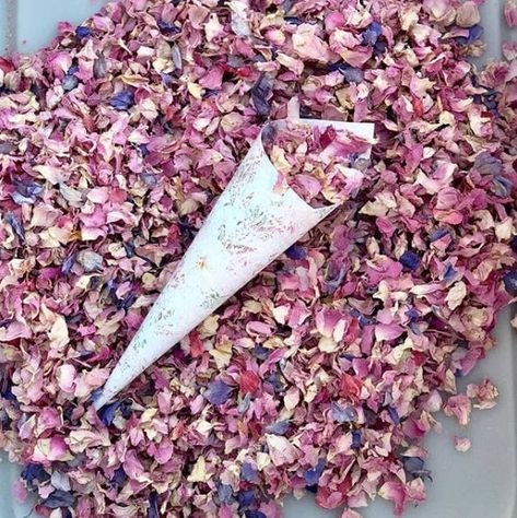 Dried Petal Confetti, Bridal Shower Wishes, Dried Flower Confetti, Flower Petal Confetti, Flower Petals Wedding, Pressed Flowers Diy, Dried Flower Petals, Eco Friendly Confetti, Dried Petals