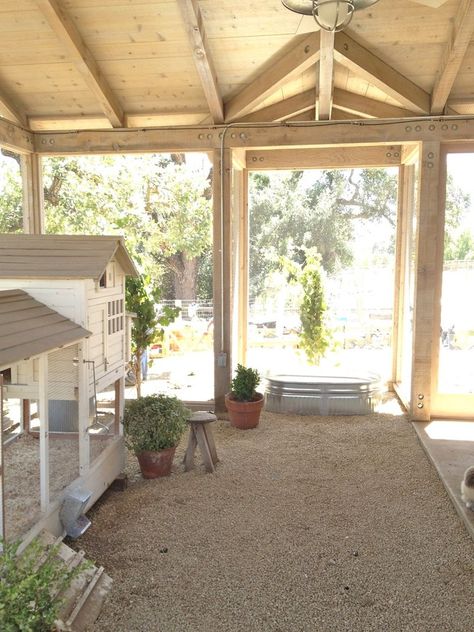 Chicken Board, Giant Chicken, Patina Farm, Portable Chicken Coop, Chicken Ideas, Coop Design, Best Chicken Coop, Chicken Coop Designs, Beautiful Chickens