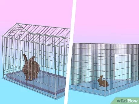 How to Design a Rabbit Playground: 11 Steps (with Pictures) Diy Rabbit Playground, Rabbit Playground, Puppy Pens, Rabbit Diet, Rabbit Litter Box, Rabbit Farm, Rabbit Care, Cozy Nook, How To Design