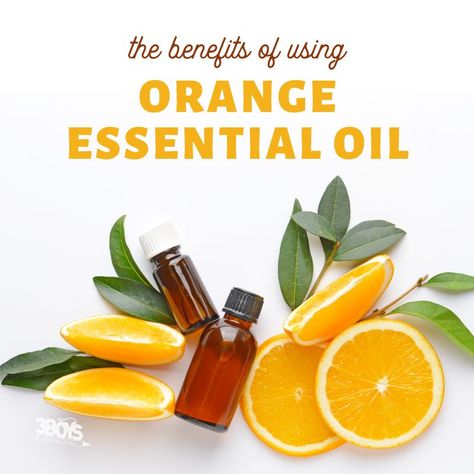 Orange essential oil, derived from the zest of the orange fruit, is a versatile and aromatic oil known for its uplifting and refreshing scent. This essential oil is extracted through cold pressing, which preserves its natural properties and rich concentration of active compounds like limonene. Learning about the benefits of orange essential oil is key … Orange Essential Oil Blends, Arts And Crafts Tiles, Wild Orange Essential Oil, Natural Cleaning Solutions, Sweet Orange Essential Oil, Aromatic Oils, Wild Orange, Mood Enhancers, Orange Fruit