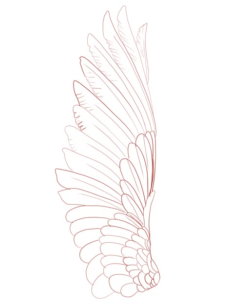 Insects Reference, Smaug Tattoo, Wing Tattoo Arm, Moth Tattoo Design, Angel Wings Drawing, Lotus Tattoo Design, Wing Tattoo Designs, Armband Tattoo Design, Egypt Tattoo