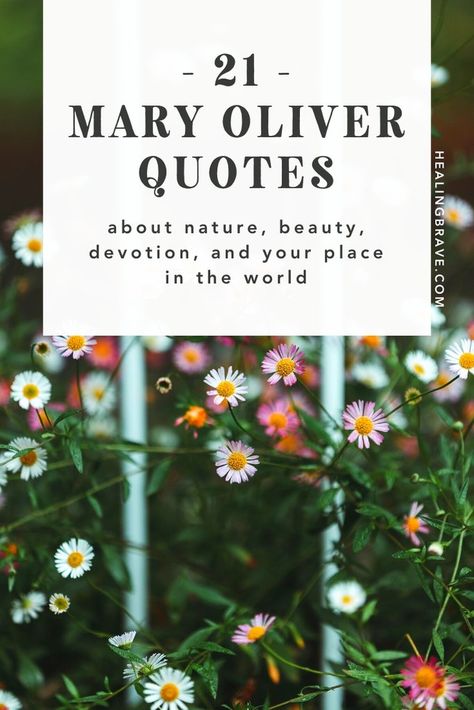 21 Mary Oliver Quotes about Nature, Beauty, Devotion, and Your Place i – Healing Brave Quotes About Nature Beauty, Gardening Quotes Inspirational, Mary Oliver Quotes, Mary Oliver Poems, Spring Poem, Mother Nature Quotes, Quotes About Nature, Nature Poem, Art Thoughts