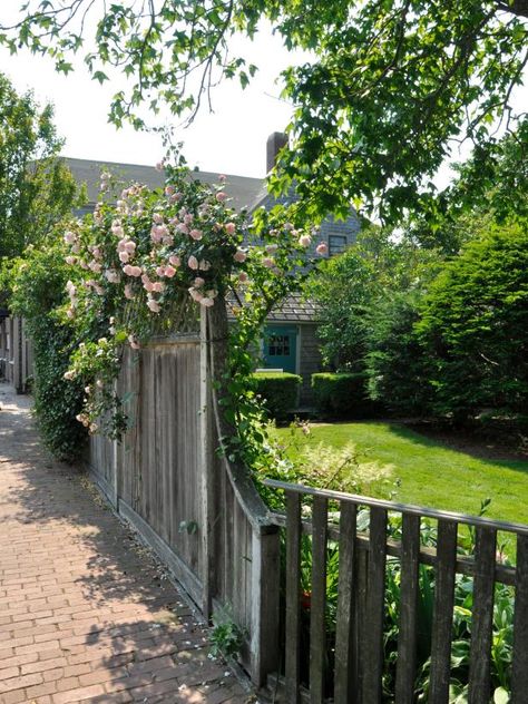 English Garden Fence Ideas, Estate Fencing Ideas, Arborvitae Privacy Fence, French Fence, Cabin Fence, Tree Fence, Emerald Green Arborvitae, Yard Inspiration, Garden Wall Designs