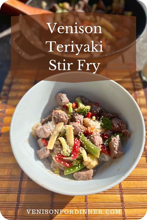 Venison Teriyaki Stir Fry Venison Teriyaki, Venison Stir Fry Recipe, Venison Backstrap, Teriyaki Stir Fry, Venison Steak, Wild Game Recipes, Venison Recipes, Homemade Teriyaki Sauce, Frozen Veggies