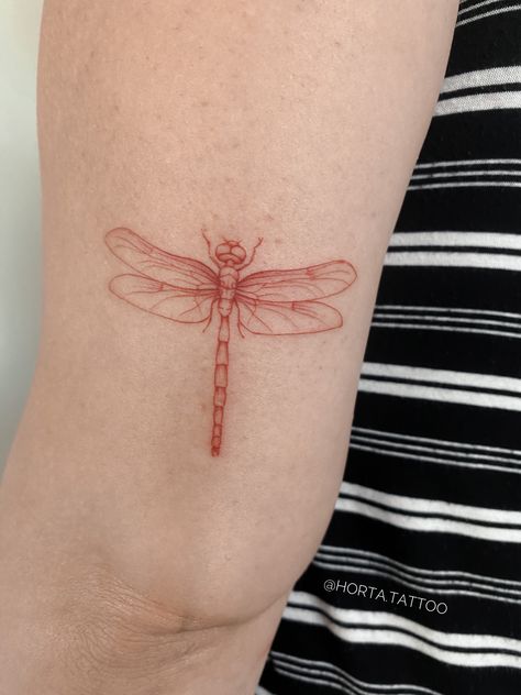 Dragonfly Heart Tattoo, Red Dragon Fly Tattoo, Red Dragonfly Tattoo, Dragonfly Tattoo Design, Crow Tattoo, Cute Tiny Tattoos, Red Tattoos, Botanical Tattoo, Dragonfly Tattoo