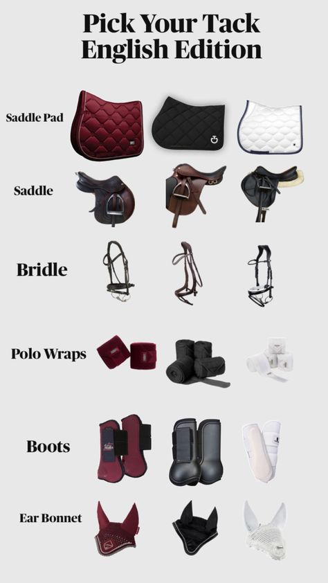 English Edition Horse Tack English, Riding Saddle, English Horse Tack, English Tack, Horse Riding Outfit, Saddle Pads English, Horse Saddle Pads, English Horse, English Riding