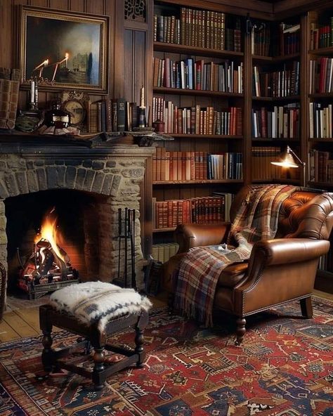 Cosy Library Aesthetic, Cozy Library With Fireplace, Cozy Home Library Ideas, Home Library Aesthetic, Reading Cozy, Dark Academia Interior, Colored Books, Dream Home Library, Library With Fireplace