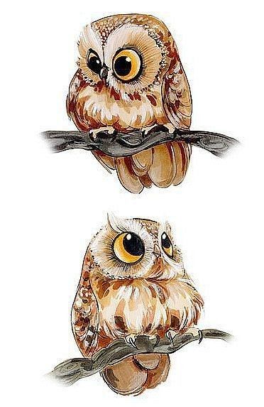 Nature Aesthetic Art, Art Coloring Pages, Tattoo Nature, Animals Tattoo, Whimsical Art Paintings, Baby Animal Drawings, Owl Artwork, Whimsical Owl, Owl Illustration