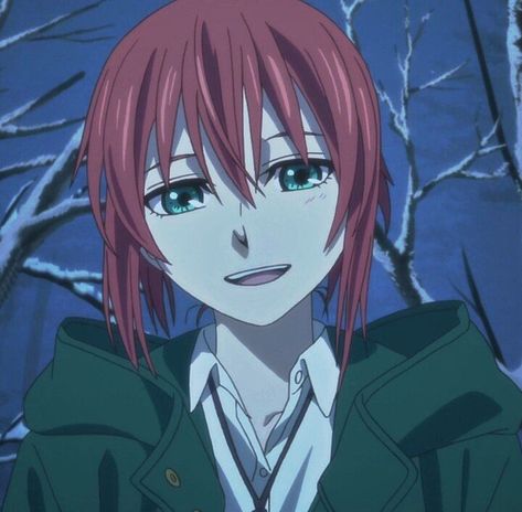 Mage Character, Chise Hatori, Elias Ainsworth, Teenage Books To Read, Magus Bride, Ancient Magus Bride, The Ancient Magus Bride, Ghibli Artwork, Anime Expressions