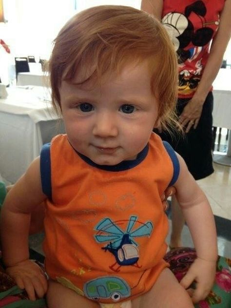 Somebody's Son, Celebrity Music, A Child Is Born, Cute Animal Pictures, Ed Sheeran, Cuteness Overload, Redheads, Ipod, Cute Animals