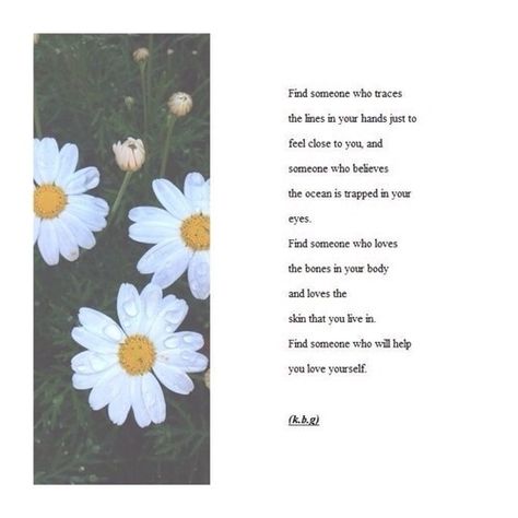 Daisy poem Long Love Poems, Poems Tumblr, Hopelessly Devoted, Touching Words, Worth Quotes, Love Truths, Poetry Inspiration, Beating Heart, Flower Quotes