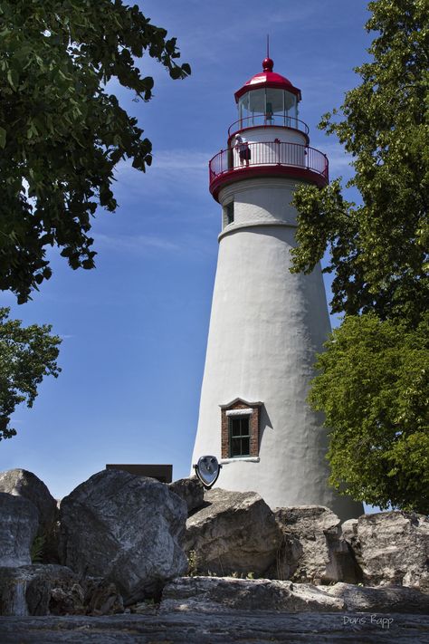 Marblehead Ohio, Marblehead Lighthouse, Lake Lighthouse, Lighthouses Photography, Lighthouse Photos, Lighthouse Painting, Lighthouse Pictures, Beautiful Lighthouse, Beacon Of Light