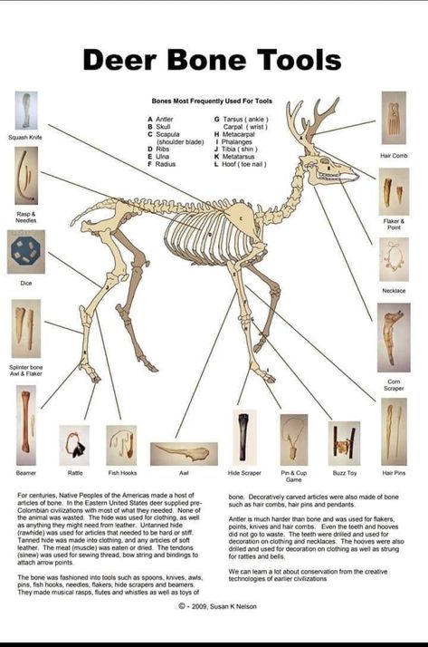 Bushcraft | Bushcraft Shelter | Bushcraft Tools | Bushcraft Kit | Diy Bushcraft | Bushcraft Projects | Bushcraft Gear Diy | Bushcraft Meals | Bushcraft Aesthetic Survival Skills Life Hacks, Survival Life Hacks, Survival Stuff, Bone Art, Survival Techniques, Homestead Survival, Survival Life, Emergency Prepping, Wilderness Survival