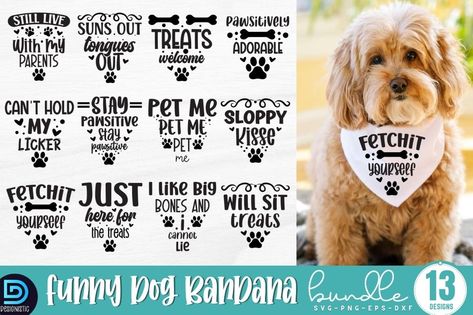 Dog Bandana Sayings 🐾 Funny Dog Bandana Sayings, Dog Bandana Sayings, Dog Bandana Svg, Dog Phrases, Bandana Svg, Animal Clothes, Cricut Funny, Dog Bandanna, Dog Svg